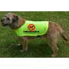 Other Dogs Scare Me - Fluorescent Neon Yellow Dog Coat Jacket